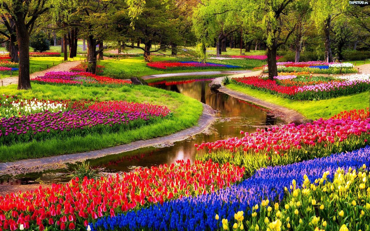 Boutique Suites Lisse - Keukenhof 외부 사진